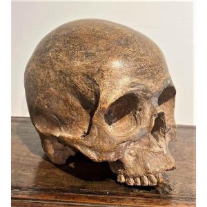 Teschio in terracotta - Vanitas o Memento mori del XVI secolo.