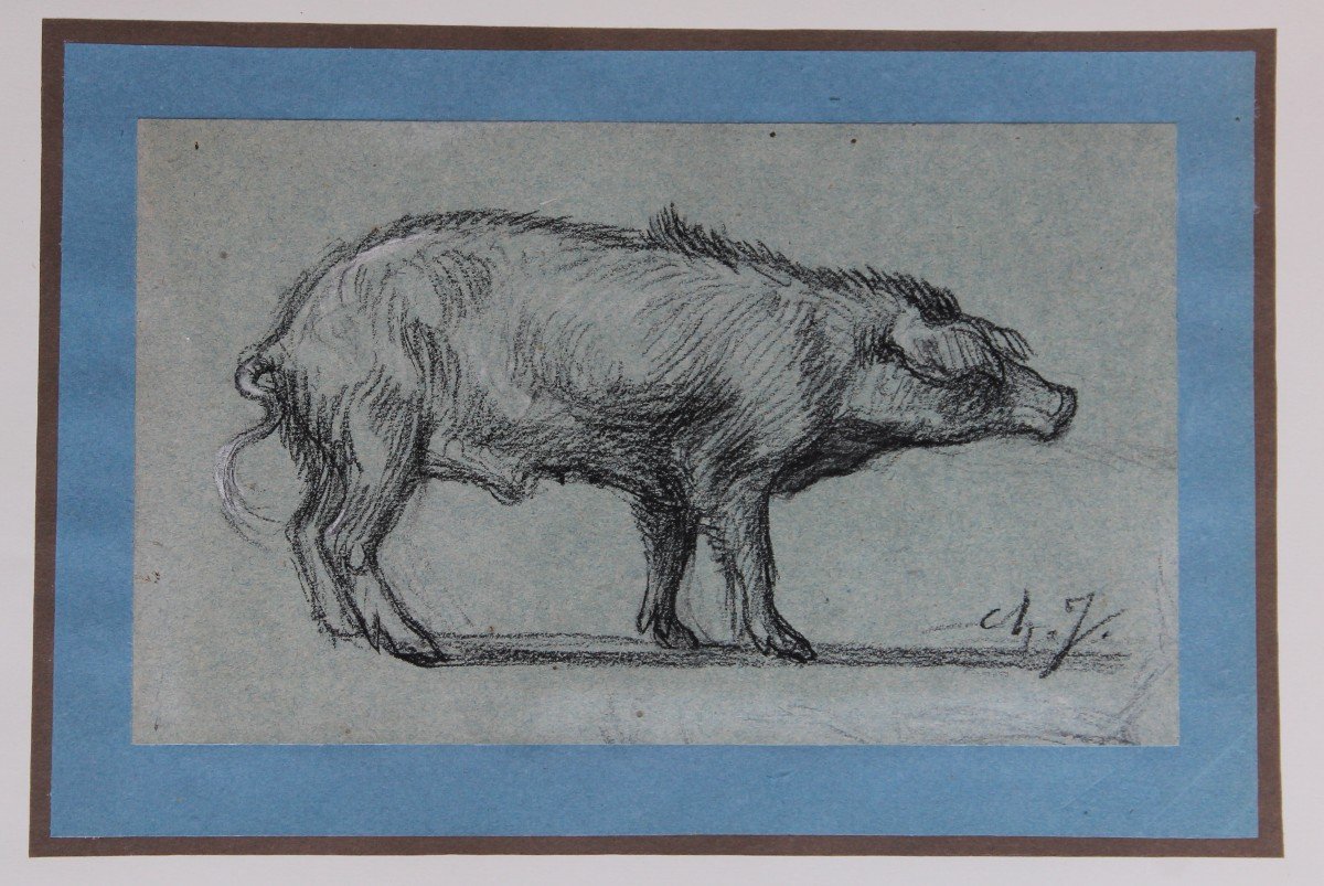 Charles Jacque (1813 - 1894) Disegno un cinghiale Monogrammato