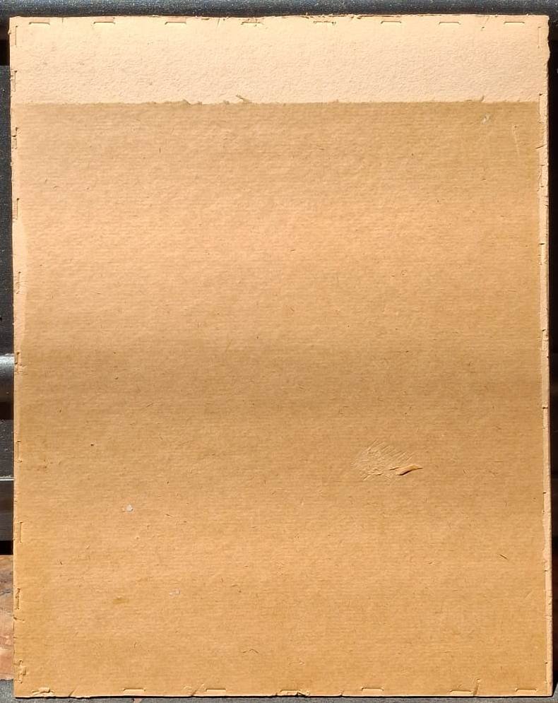 Disegno - Testa di giovane uomo - Inizio XX secolo-photo-4