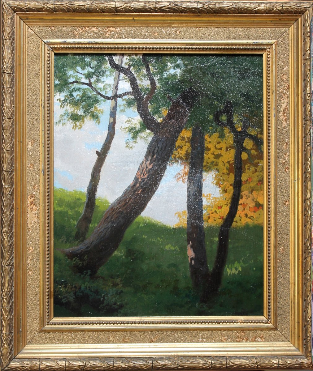 Silvio Gordini (1849 - 1937) - Olio su cartone - Paesaggio Firmato Datato 1909 - Romagna-photo-1