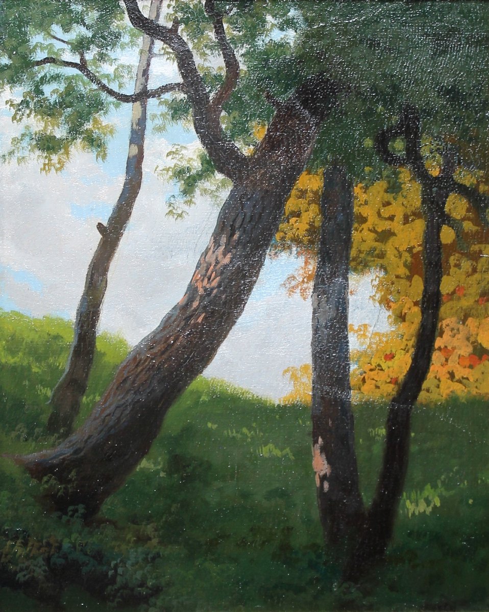 Silvio Gordini (1849 - 1937) - Olio su cartone - Paesaggio Firmato Datato 1909 - Romagna