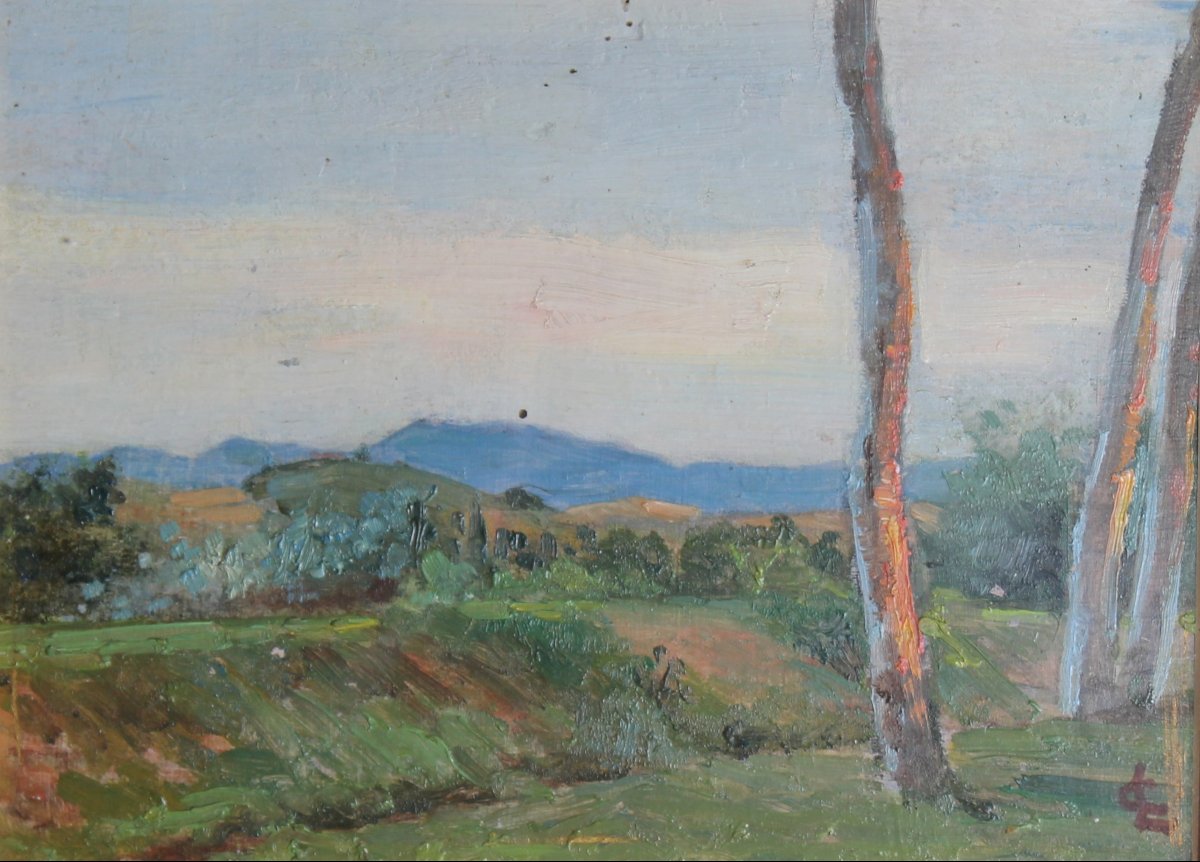 Carlo Legnani - Paesaggio - Mongrammato