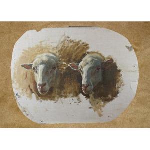 Auguste Bonheur Studio per teste di pecore Olio su carta
