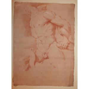 Nudo, studio per un Laocoonte, Disegno alla sanguigna XVIII secolo