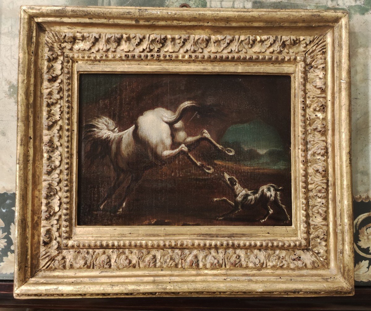 Cavallo che scalcia un cane. Dipinto Italia XVII Secolo-photo-2