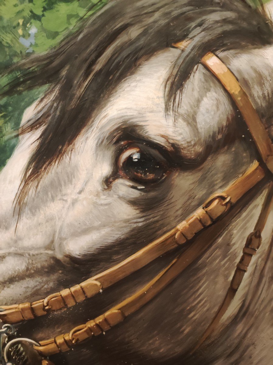 Testa di cavallo, dipinto  tempera su carta di V.Tajani Italia inizi XX Secolo -photo-2