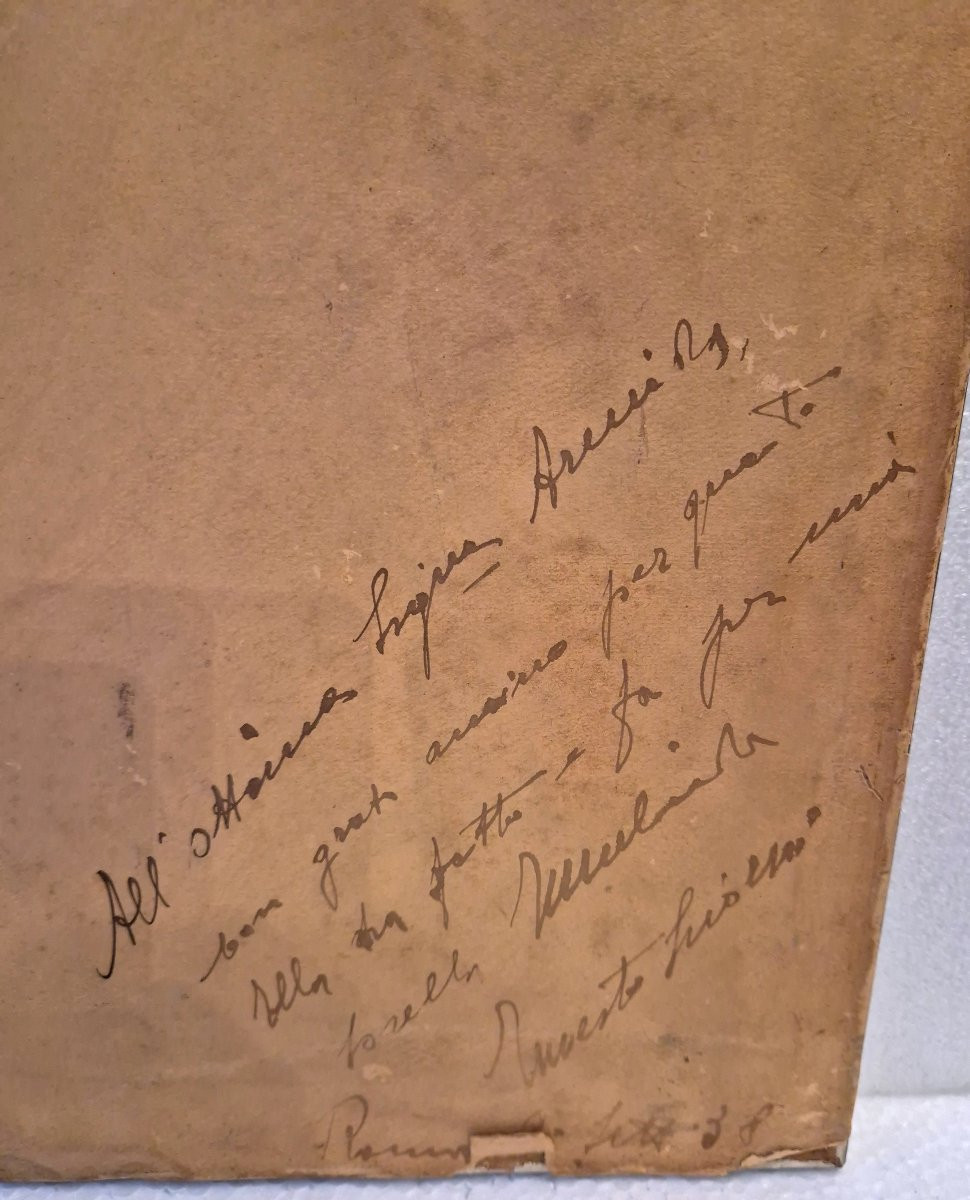 Scuola italiana Olio su carta Testa di cane maltese XX secolo -photo-4