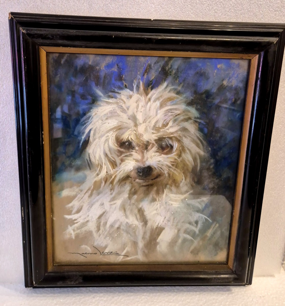 Scuola italiana Olio su carta Testa di cane maltese XX secolo 