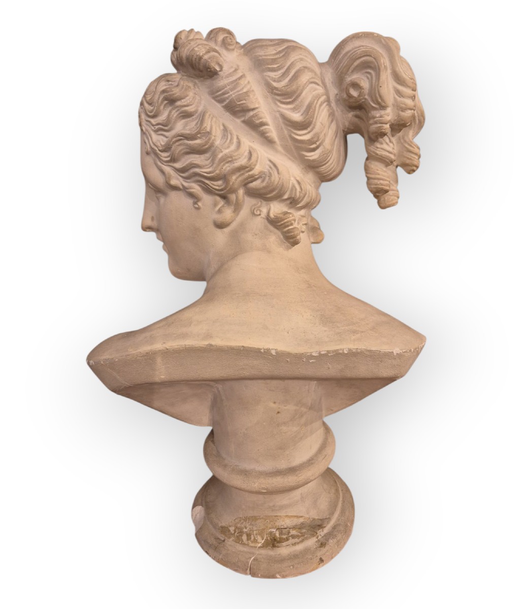 Busto della Venere Italica , Scultura in gesso,  Italia XIX Secolo. grandtour-photo-3