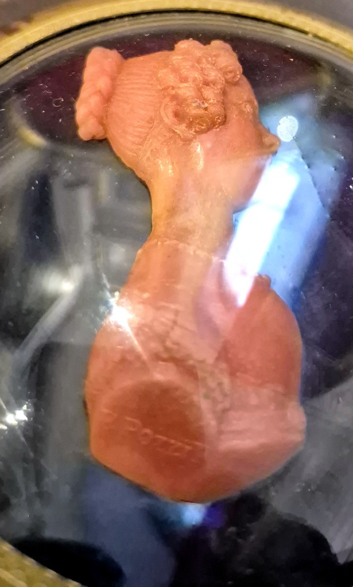 Ritratto in cera Italia XIX secolo Francesco Pozzi-photo-1