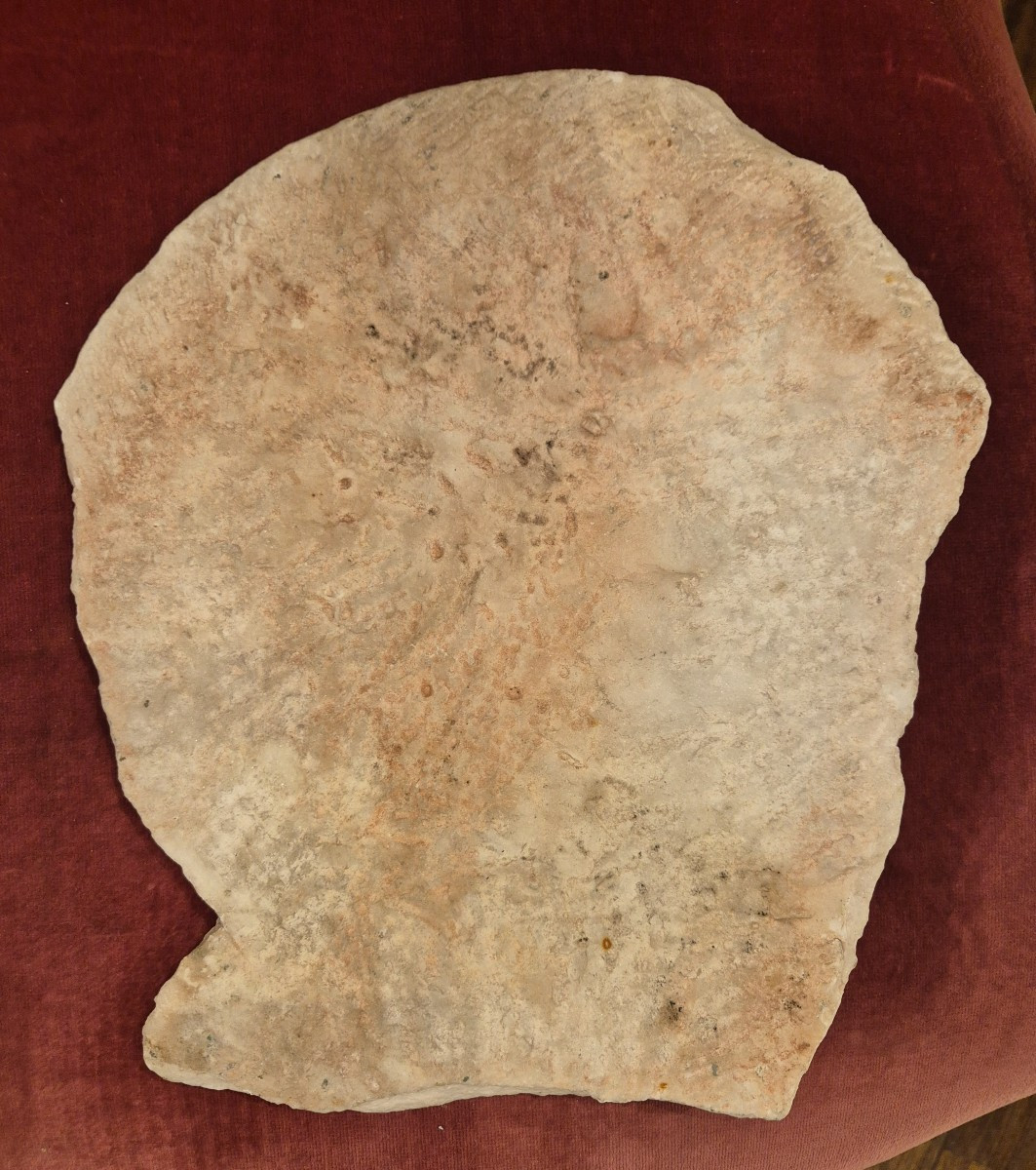 Medaglione con effige dell imperatore Tito, marmo, Roma XVIII Secolo Grand tour -photo-3