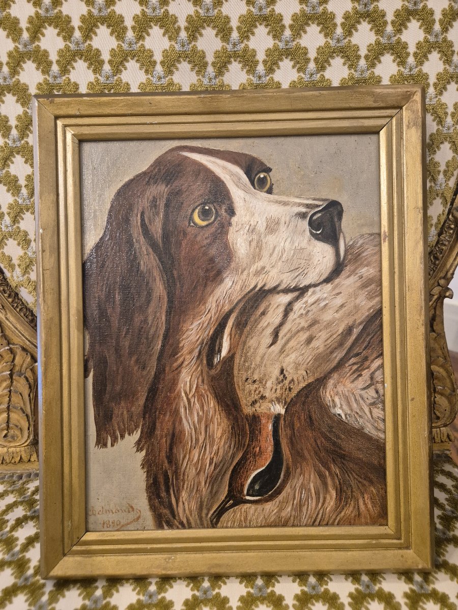Cane con preda , dipinto Italia XIX Secolo -photo-2