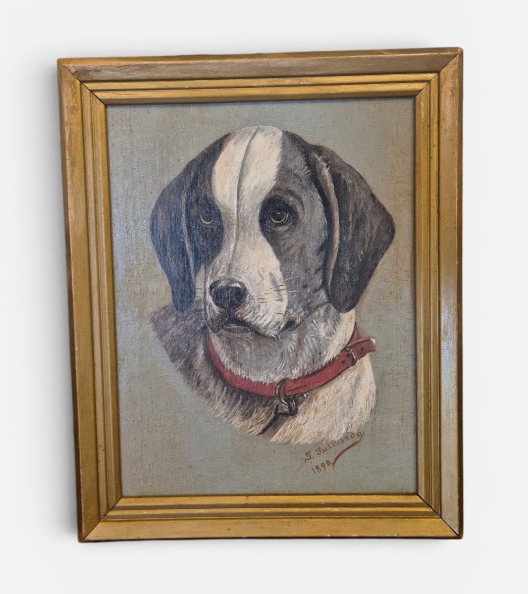Ritratto di cane , dipinto Italia XIX Secolo 
