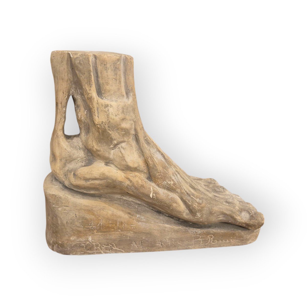 Piede anatomico, scultura in gesso, Italia XIX Secolo-photo-3