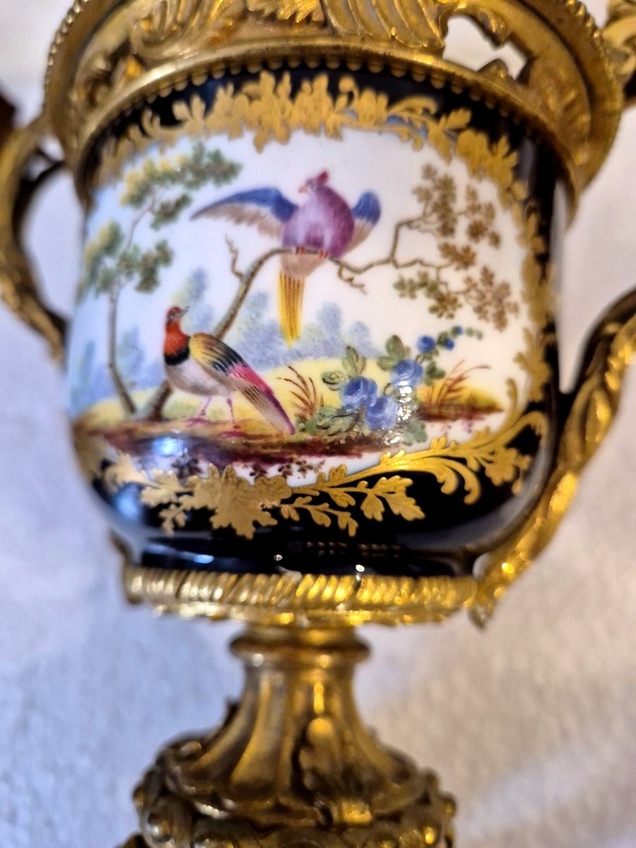 Potiche in porcellana tipo Sevres montata in bronzo dorato XIX secolo-photo-2