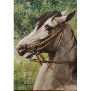 Testa di cavallo, dipinto  tempera su carta di V.Tajani Italia inizi XX Secolo 