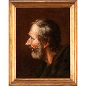 Studio di testa, dipinto , Roma XVII Secolo