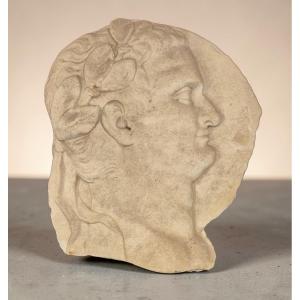 Medaglione con effige dell imperatore Tito, marmo, Roma XVIII Secolo Grand tour 