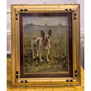 Ritratto di cane, dipinto Italia XX Secolo 