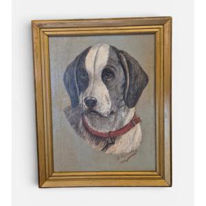Ritratto di cane , dipinto Italia XIX Secolo 