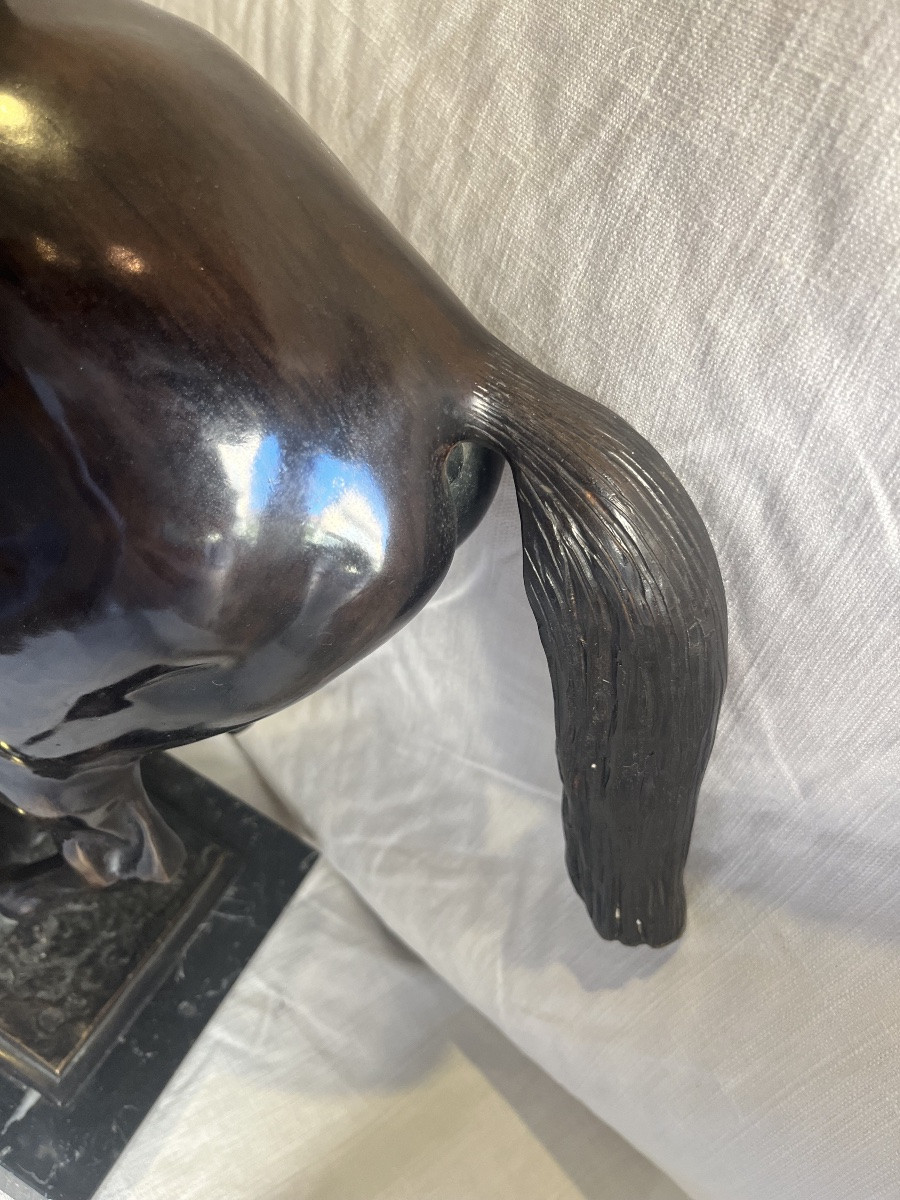 cavallo con fantino in bronzo -photo-4