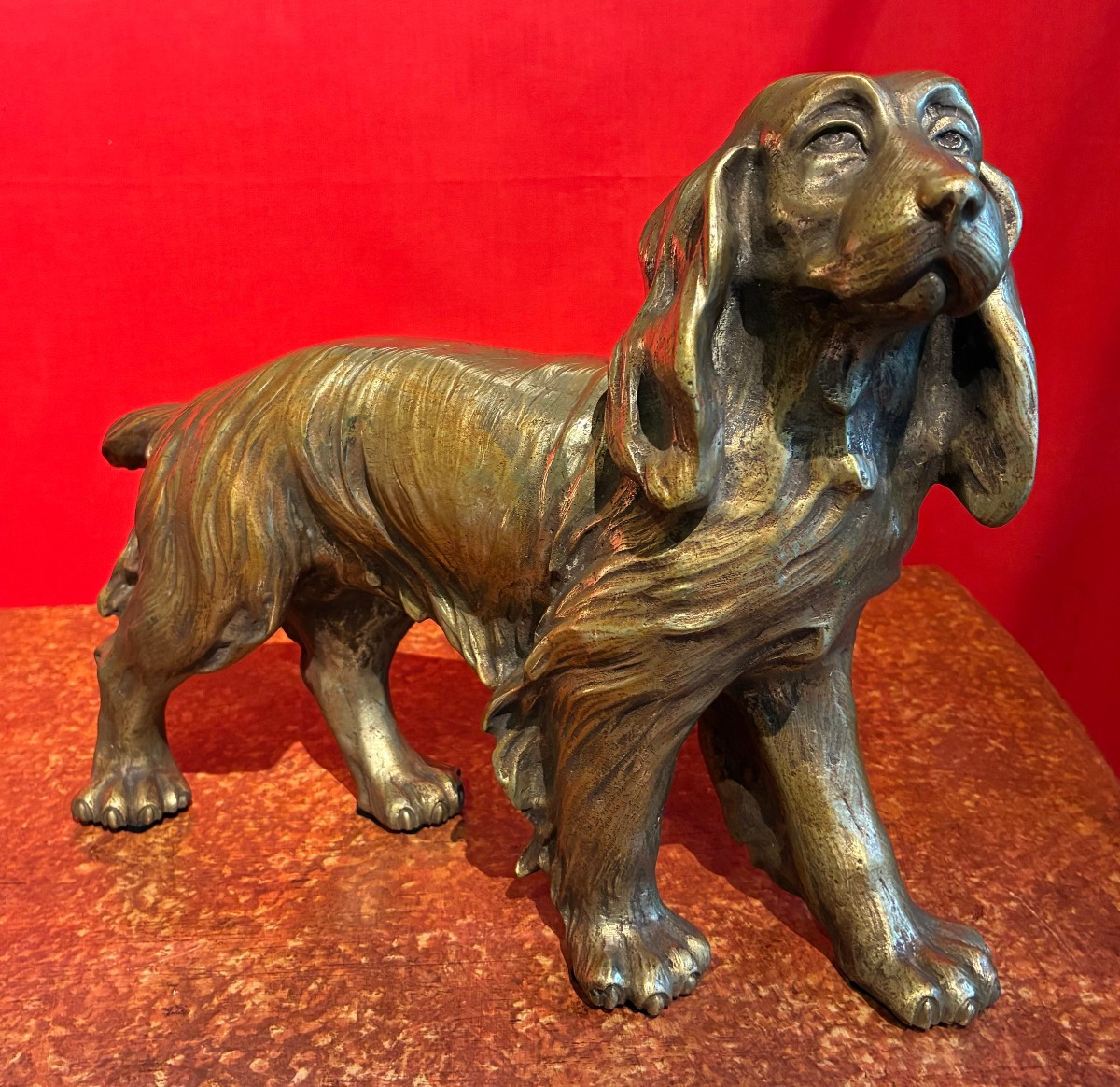 cane in bronzo argentato di provenienza italiana eseguito agli inizi del 900'