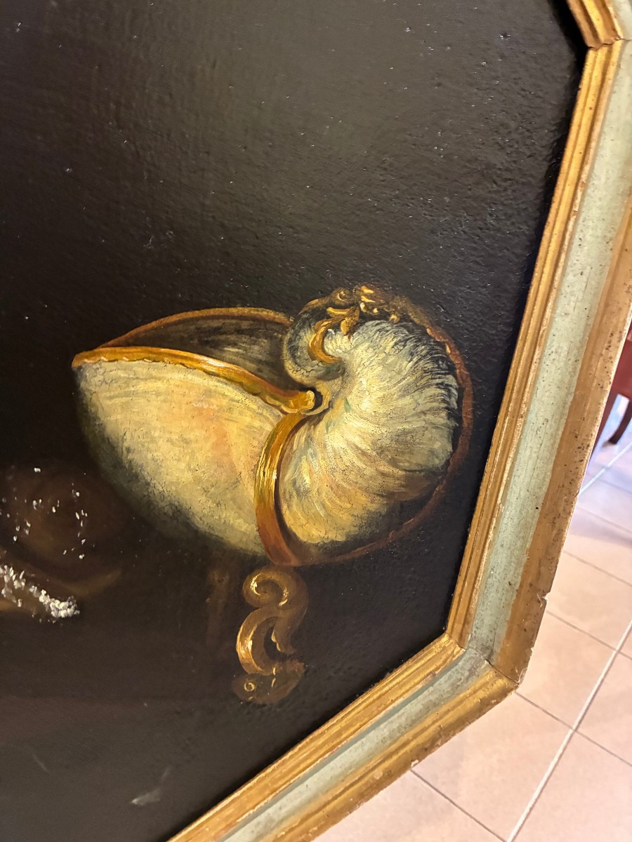 dipinto raffigurante animali e drappi della meta' del XVII secolo-photo-4