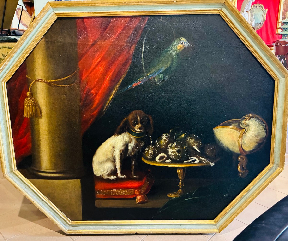 dipinto raffigurante animali e drappi della meta' del XVII secolo