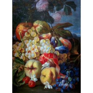 Maximilian Pfeiler ( Attivo 1656-1746 )  Natura morta di frutta 