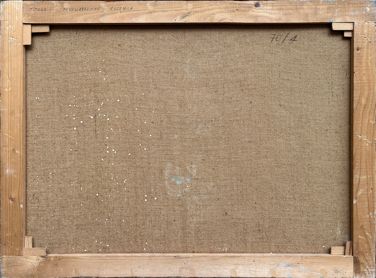 Mario Tantin (Milano, 1929-Valle Aurina, 1999) Fossilizzazione Eocenica-photo-4