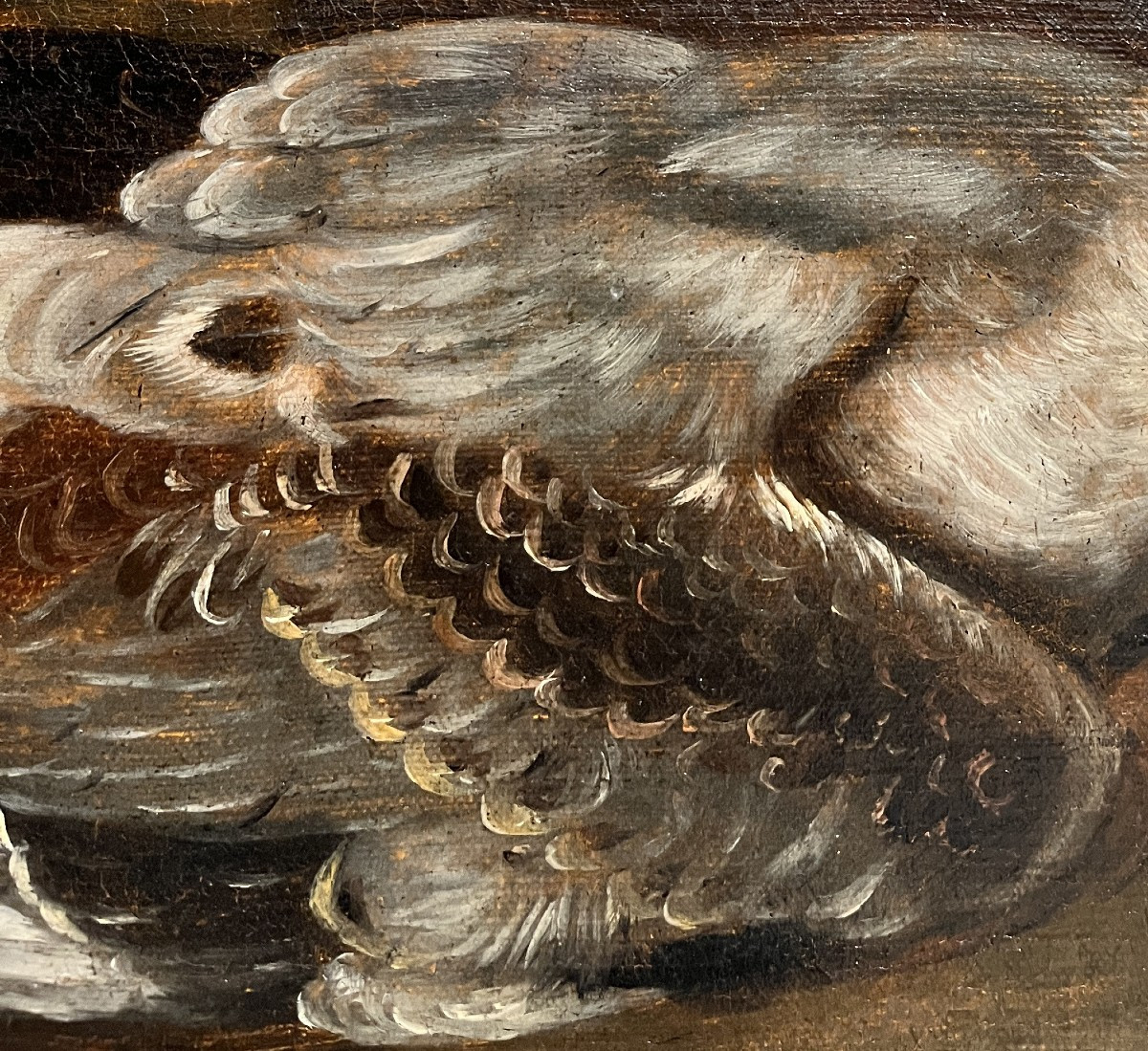 Hans Bollongier (Haarlem, Paesi Bassi, 1600-1645), Natura morta con cacciagione-photo-3