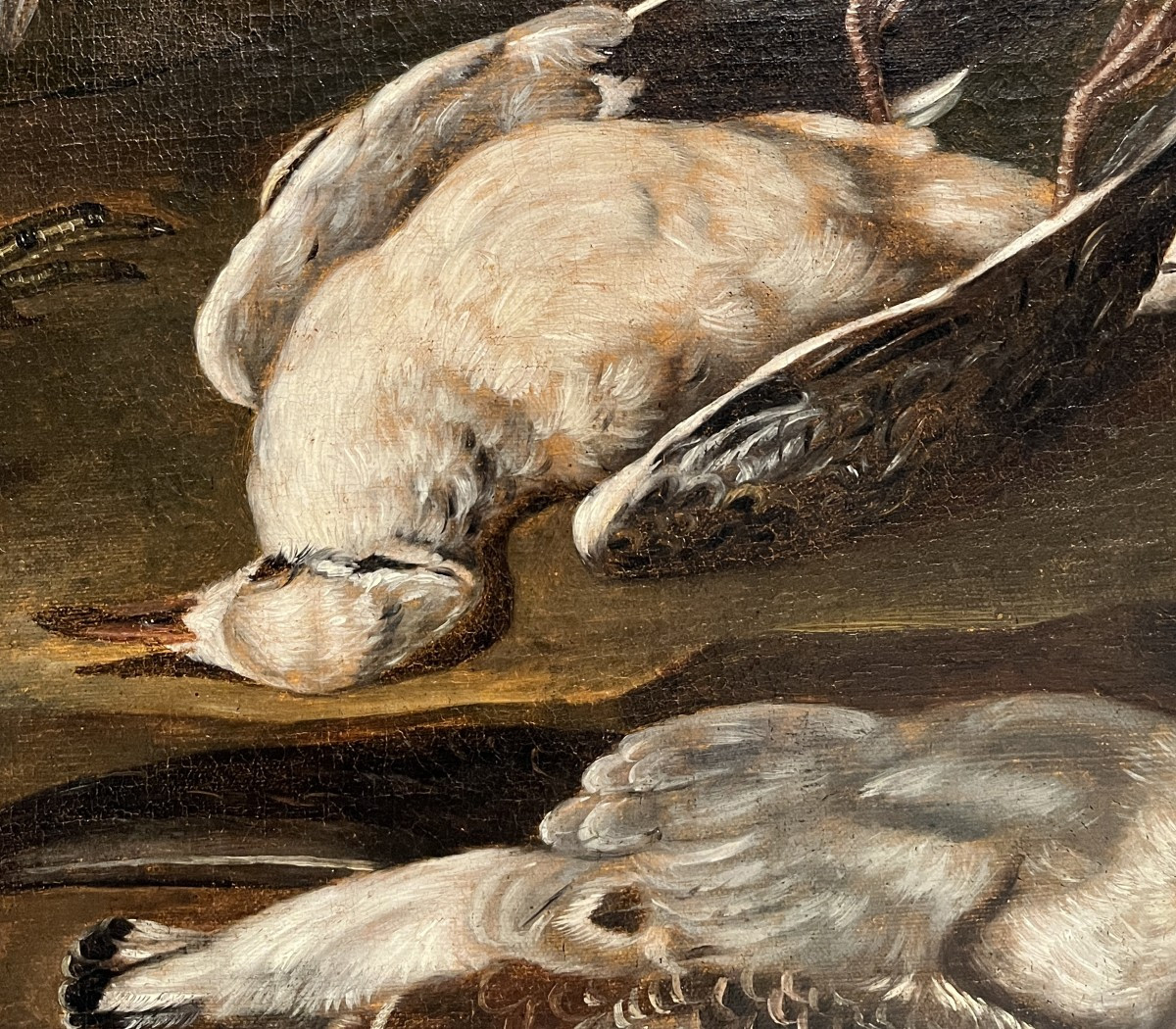 Hans Bollongier (Haarlem, Paesi Bassi, 1600-1645), Natura morta con cacciagione-photo-1