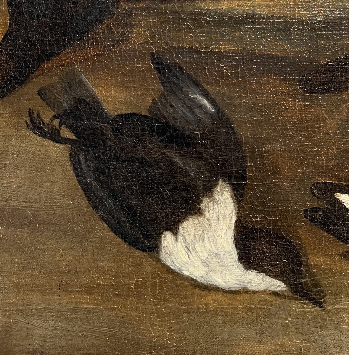 Hans Bollongier (Haarlem, Paesi Bassi, 1600-1645), Natura morta con cacciagione-photo-2
