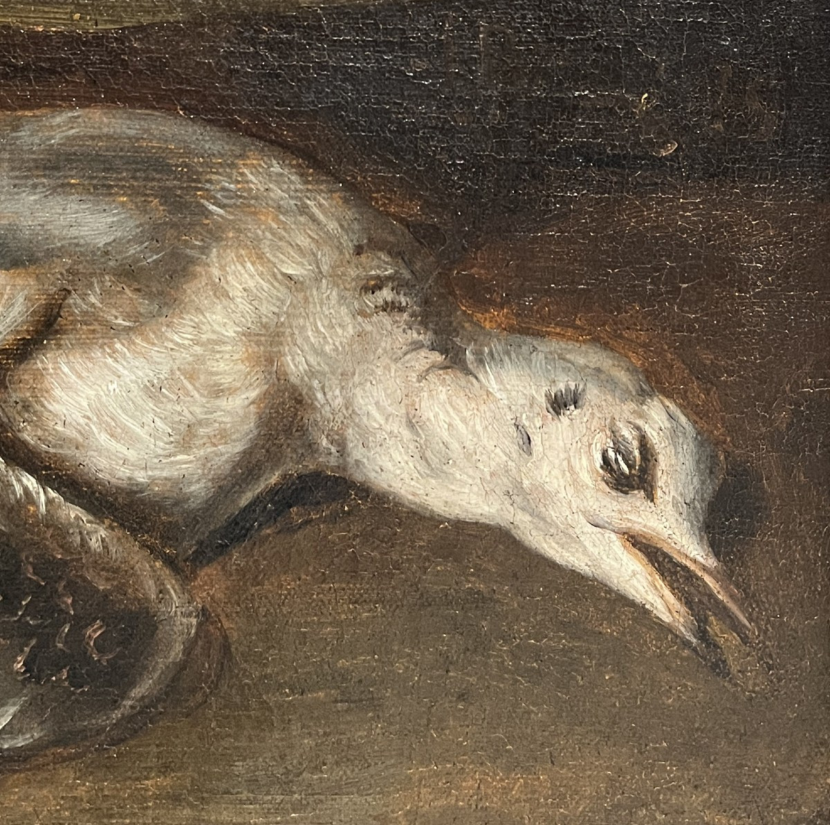 Hans Bollongier (Haarlem, Paesi Bassi, 1600-1645), Natura morta con cacciagione-photo-3