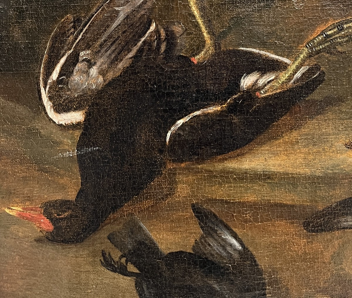 Hans Bollongier (Haarlem, Paesi Bassi, 1600-1645), Natura morta con cacciagione-photo-5