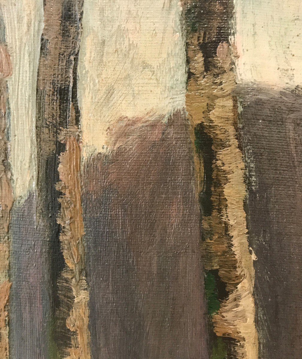 Louis gustave Cambier (1874-1949) Paesaggio di Campagna, 1896-photo-3