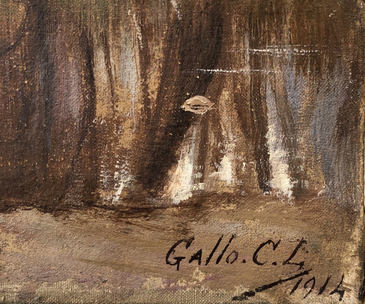 Carlo Leone Gallo (1875-1959) Fiume Bormida (italia), 1914-photo-4