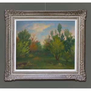 Dante Montanari (Porto Sant'Elpidio, Italia, 1896 – Milano, 1989) Il Bosco
