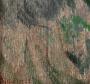 1569521-6853c43c8aaf7.jpg