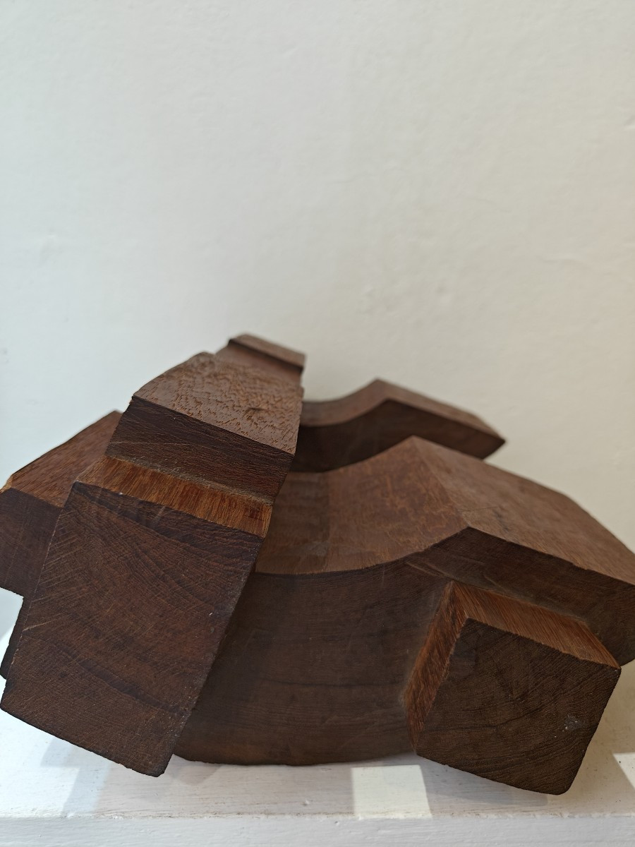 Scultura astratta in legno- 1960 circa-photo-4