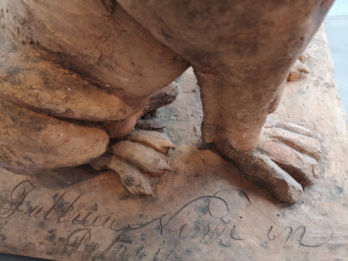 Coppia di cani molossi in terracotta, manifattura del secolo XIX-photo-3
