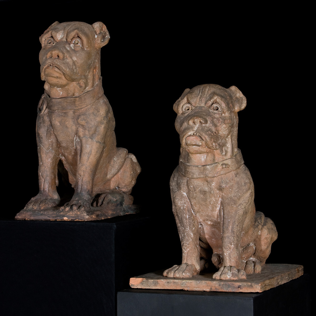 Coppia di cani molossi in terracotta, manifattura del secolo XIX