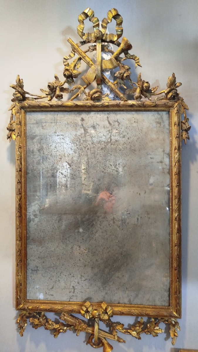 Coppia di specchi Luigi XVI in legno dorato con specchi antichi al mercurio