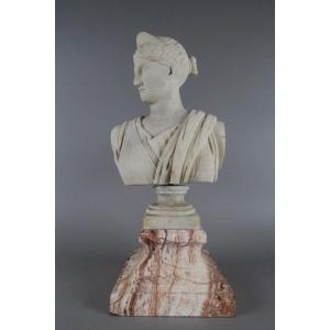 Secondo Diana di Versailles del Museo del Louvre (Antichità greca)  Busto in alabastro 