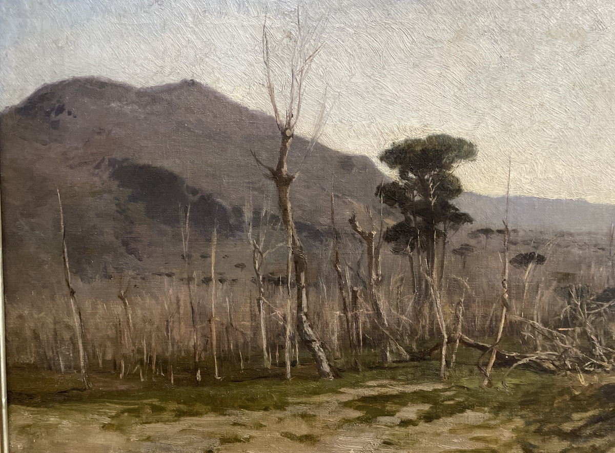 Frank Loyd Mancini ( Napoli 1830 - 1905 )   Le pendici del Vesuvio -photo-3