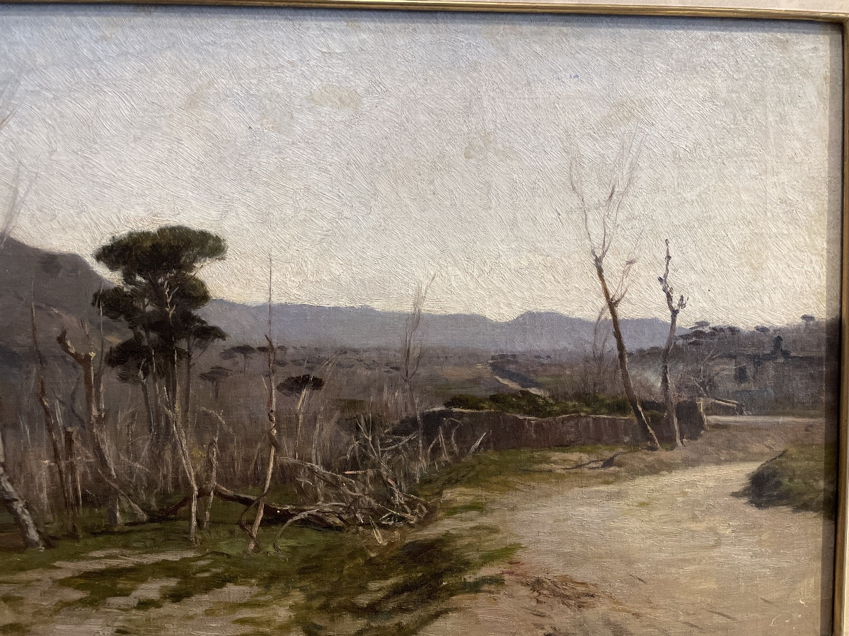 Frank Loyd Mancini ( Napoli 1830 - 1905 )   Le pendici del Vesuvio -photo-4
