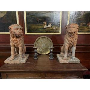 Very Beautiful Pair Of Terracotta Lions - France Or Italy - Eighteenth