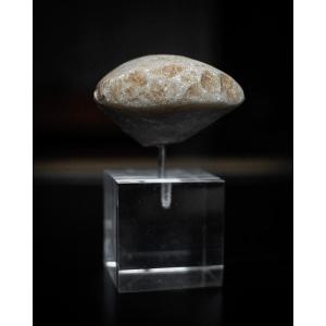 Anatolian Kilia “star Gazer” Stone Idol Head On Stand