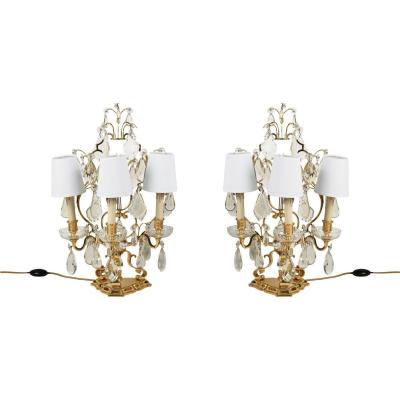 Neoclassical Style Gilded Brass Table Lamps Of XXth Century