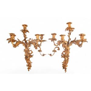 Large Pair Of Louis XV Style Gilt Bronze Wall Sconces 